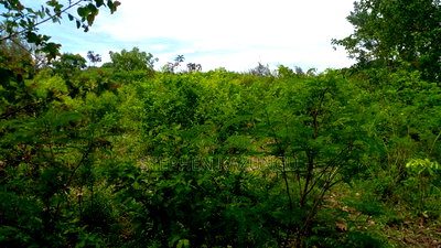 1/2 Acre Plot on Sale at Kinondo 200 Metres From Tarmac. - Image 10