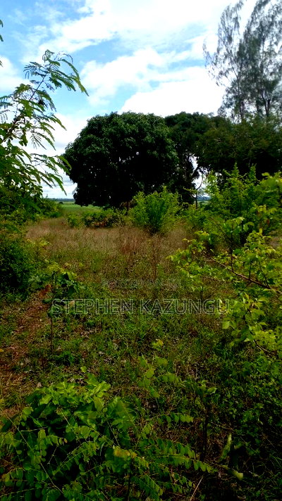 1/2 Acre Plot on Sale at Kinondo 200 Metres From Tarmac. - Image 1