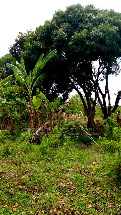 1/2 Acre Plot on Sale at Kinondo 200 Metres From Tarmac. - Image 2