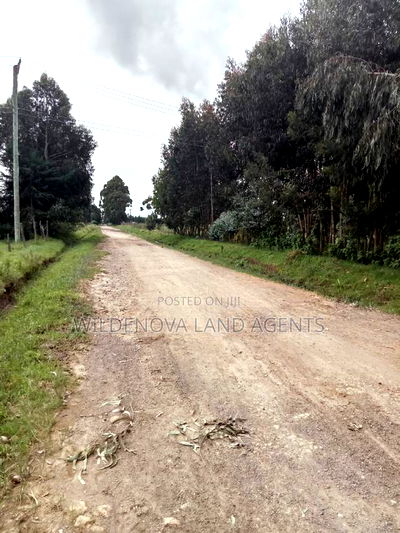 2 Acre on Sale at Nyakio Kinangop - Image 3
