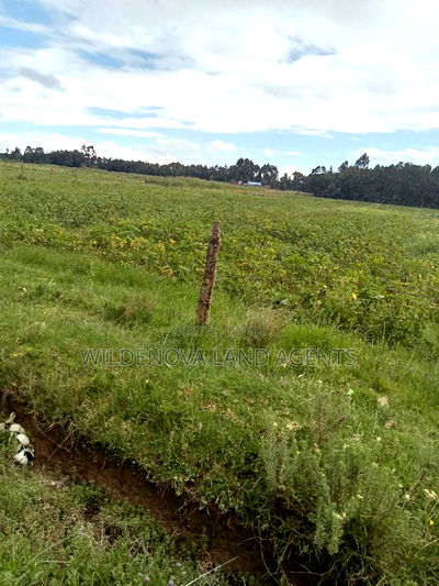 2 Acre on Sale at Nyakio Kinangop - Image 4
