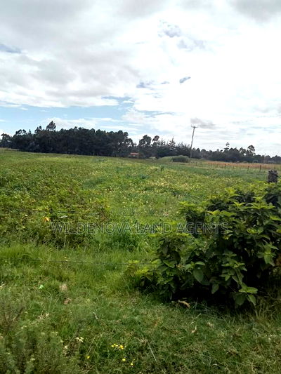 2 Acre on Sale at Nyakio Kinangop - Image 2