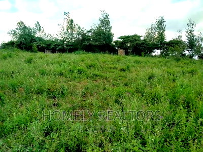 Quarter Acre Plots in Acacia, Merisho Road, Ongata Rongai - Image 4