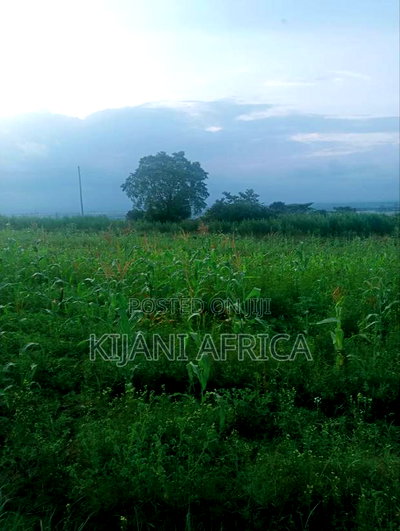 50 by 100 Plots in Kbc,Malaa With a Hill Vintage Point - Image 2