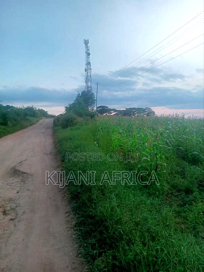 50 by 100 Plots in Kbc,Malaa With a Hill Vintage Point - Image 7