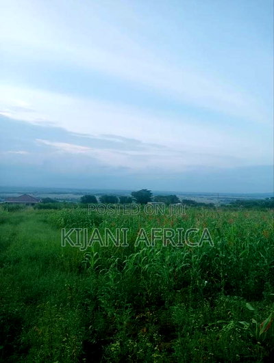 50 by 100 Plots in Kbc,Malaa With a Hill Vintage Point - Image 6
