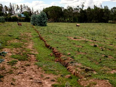 Own a Piece of Nyandarua - Image 2