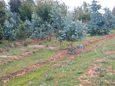 Own a Piece of Nyandarua - Image 1