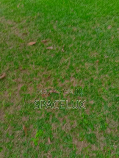 Prime Commercial Property - Image 5