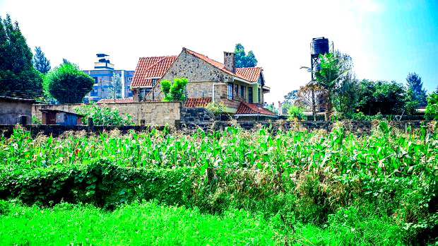 Prime Commercial 1/8 Acre Plot in Kikuyu, Sigona - Zambezi