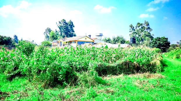 Prime Commercial 1/8 Acre Plot in Kikuyu, Sigona - Zambezi