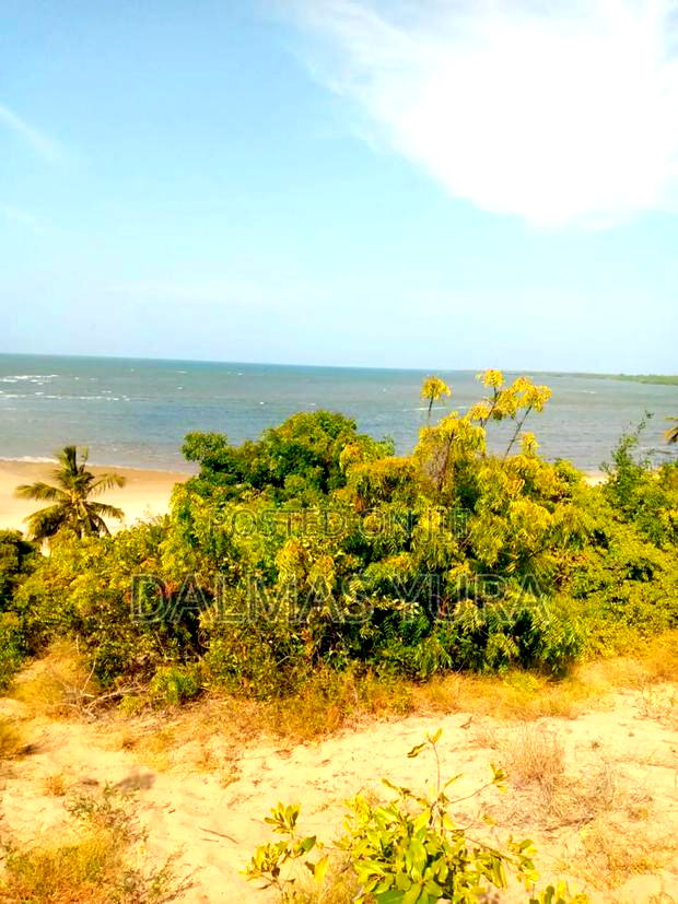 8 Acres of Land at Ngomeni in Magarini