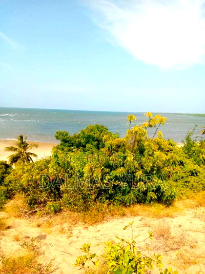 8 Acres of Land at Ngomeni in Magarini - Image 4