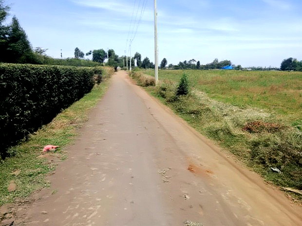 Superb Plots for Sale at Njoro Nakuru