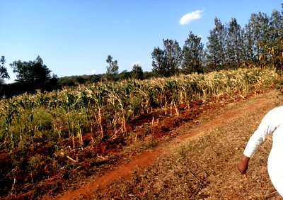 3-Acre Riverside Plot at KSh 1.9M
