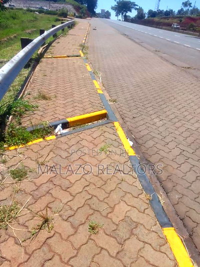 1 Acre on Tarmac Near Kenol Muranga - Image 4
