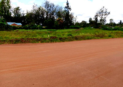 Quarter Acre Plot with Garden
