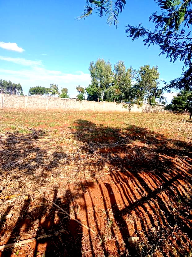 1/4 Plot and 1/8 Plot in Kiplombe With Title