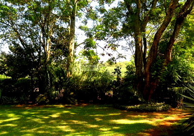 3/4 Acre Lavington Gem at KSh 170M