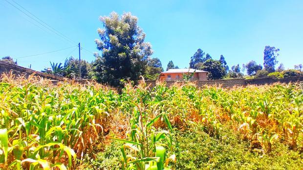 Kikuyu Thogoto Plots for Sale(Maiihi)