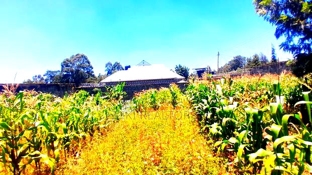 Kikuyu Thogoto Plots for Sale(Maiihi)