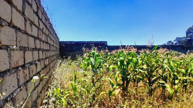 Kikuyu Thogoto Plots for Sale(Maiihi)