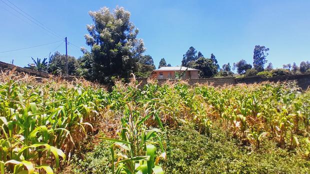 Kikuyu Thogoto Plots for Sale(Maiihi)