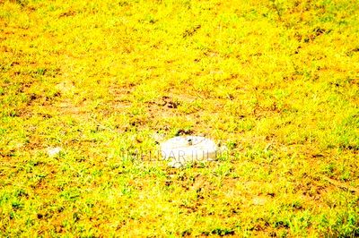 Kisumu Dala - Image 3