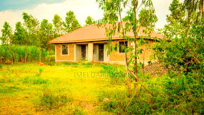 Kisumu Dala - Image 4