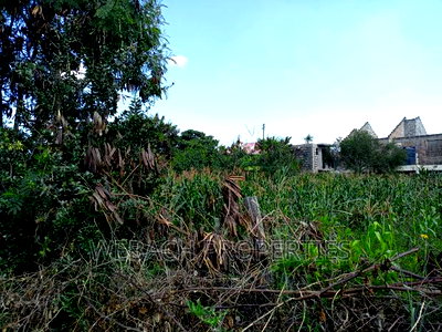 Prime 1/2 Acre Land on Sale Syokimau Near Country Club - Image 15