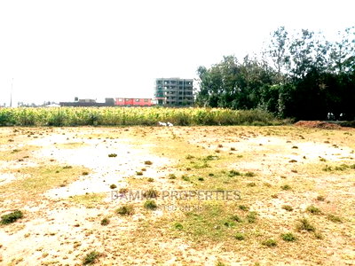 1/8 Acre Plot for Sale at Barnabas 200mts From Highway - Image 2