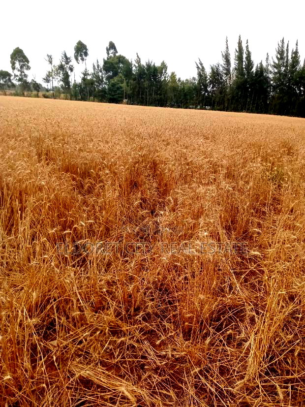 5 Acres Ilula With Title Arable