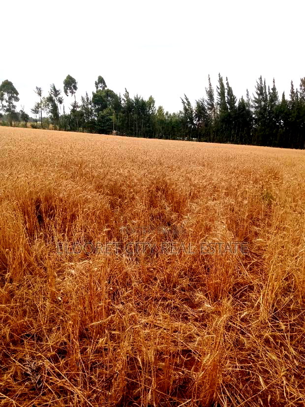 5 Acres Ilula With Title Arable