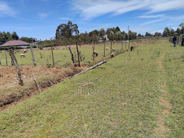 Prime 1/4acre Touching Tarmac Annex Royaltone