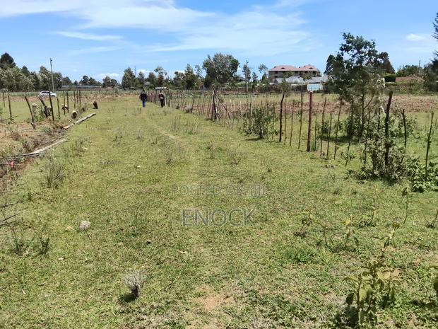 Prime 1/4acre Touching Tarmac Annex Royaltone