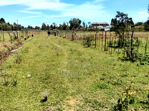 Prime 1/4acre Touching Tarmac Annex Royaltone