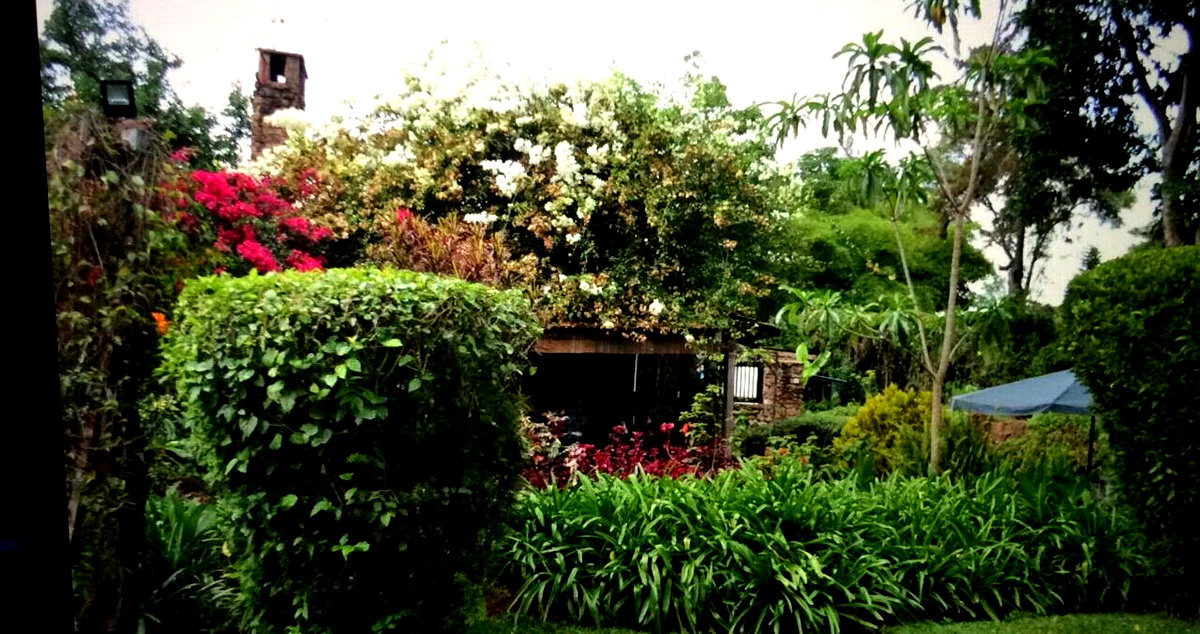 5BR Garden Oasis at KSh 200K