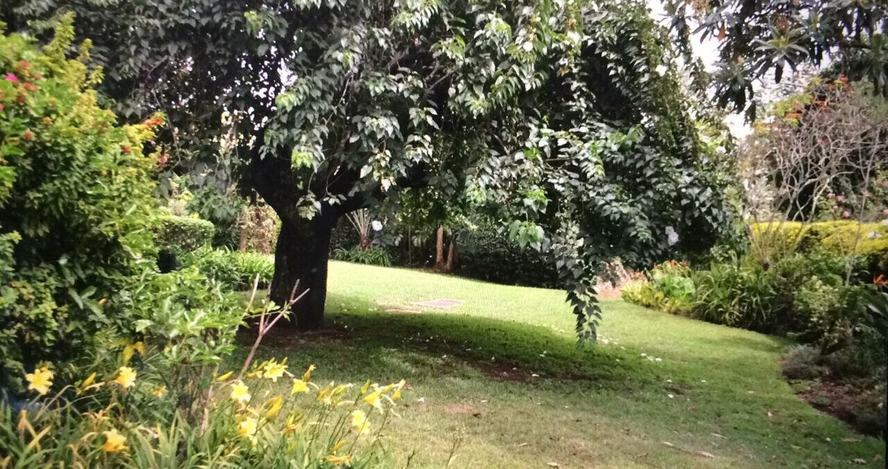 5BR Garden Oasis at KSh 200K