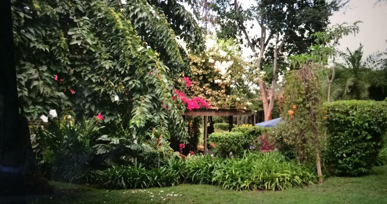 5BR Garden Oasis at KSh 200K