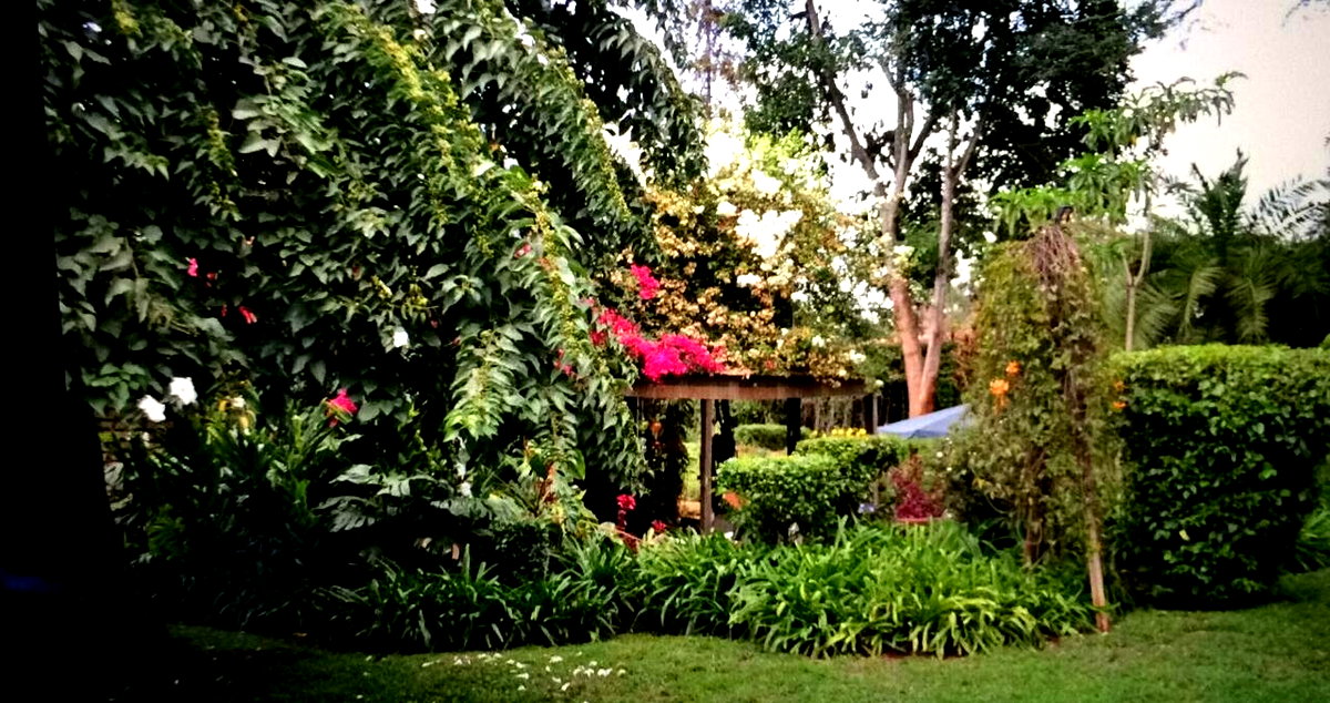 5BR Garden Oasis at KSh 200K