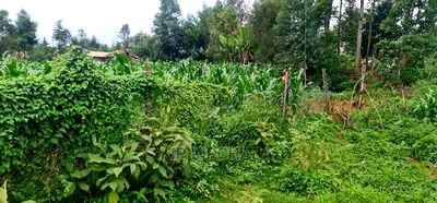 Plots for Sale in Mailli Nne Eldoret. - Image 7