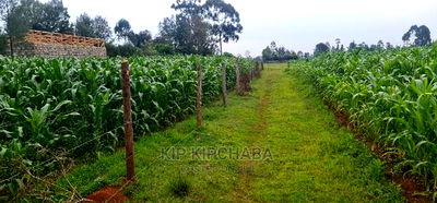 Plots for Sale in Mailli Nne Eldoret. - Image 9