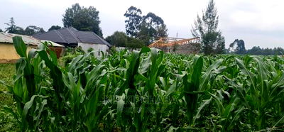 Plots for Sale in Mailli Nne Eldoret. - Image 5