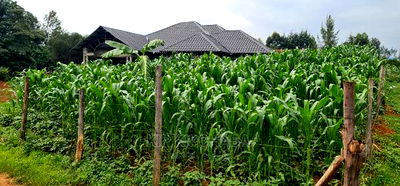 Plots for Sale in Mailli Nne Eldoret. - Image 4