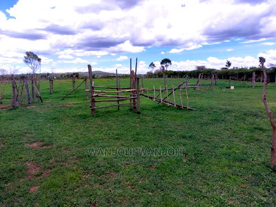 Prime 50x100 Plots in Nyandarua, Kasuku - Image 1