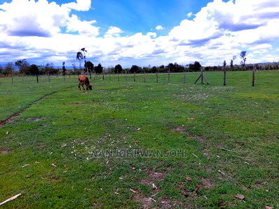 Prime 50x100 Plots in Nyandarua, Kasuku - Image 2