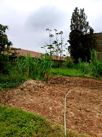 100 by 100 a Thika Road - Image 3