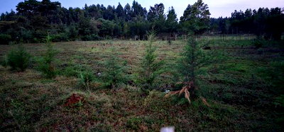 Commercial Acres Touching Highway Kapseret Bypass in Eldoret - Image 3