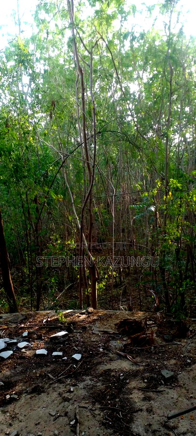 Galu Beach 2nd Row 1/2 Acre on Sale - Image 12