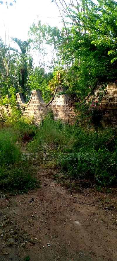 Galu Beach 2nd Row 1/2 Acre on Sale - Image 8
